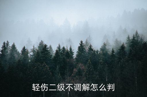 輕傷二級不諒解怎么判，打人致輕傷2級對方不諒解會怎么判刑