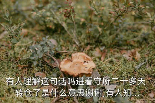 有人理解這句話嗎進看守所二十多天 轉倉了是什么意思謝謝,有人知...
