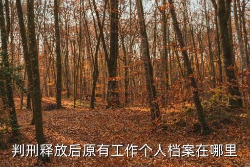 判刑釋放后原有工作個人檔案在哪里