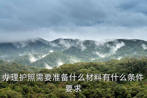 辦理護照需要，辦理護照需要準備什么材料有什么條件要求