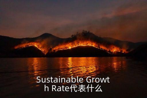 可持續(xù)增長率，可持續(xù)增長率計(jì)算公式