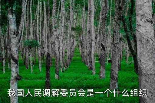 人民調(diào)解委員，我國人民調(diào)解委員會是一個什么組織