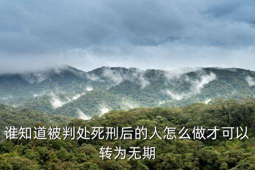誰(shuí)知道被判處死刑后的人怎么做才可以轉(zhuǎn)為無(wú)期