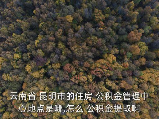云南省 昆明市的住房 公積金管理中心地點(diǎn)是哪,怎么 公積金提取啊