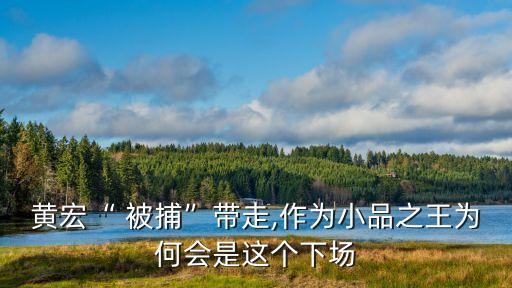 黃宏“ 被捕”帶走,作為小品之王為何會(huì)是這個(gè)下場(chǎng)