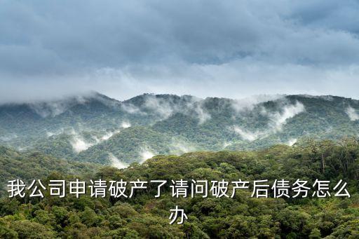 公司申請破產(chǎn)后債務怎么辦，我公司申請破產(chǎn)了請問破產(chǎn)后債務怎么辦