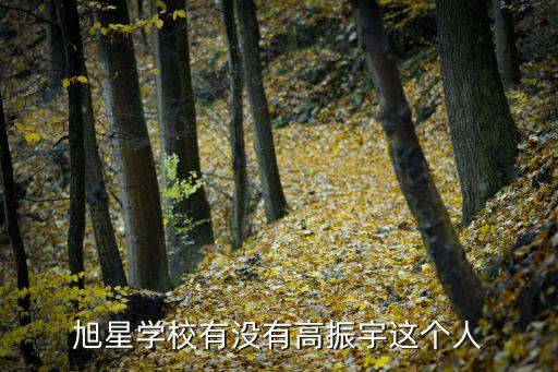 旭星學(xué)校有沒(méi)有高振宇這個(gè)人