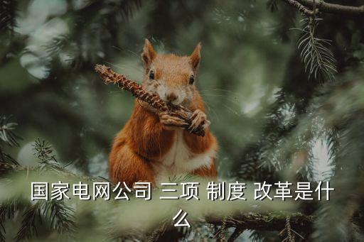 國家電網(wǎng)公司 三項(xiàng) 制度 改革是什么