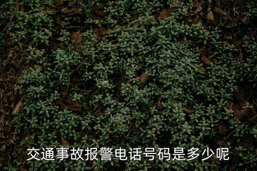 交通事故報(bào)警電話號(hào)碼是多少呢