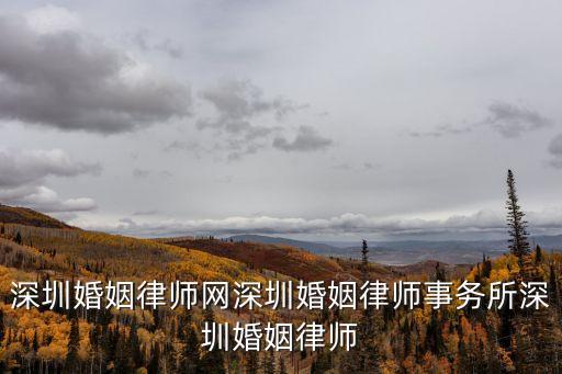 婚姻律師網(wǎng)，美國婚姻律師網(wǎng)