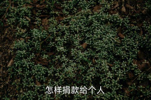 個人捐款怎么捐，個人如何申請募捐
