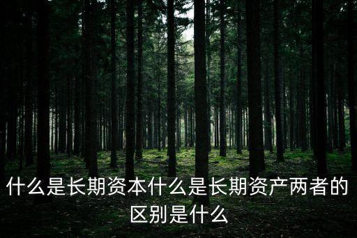 長期資產(chǎn)，什么是長期資本什么是長期資產(chǎn)兩者的區(qū)別是什么