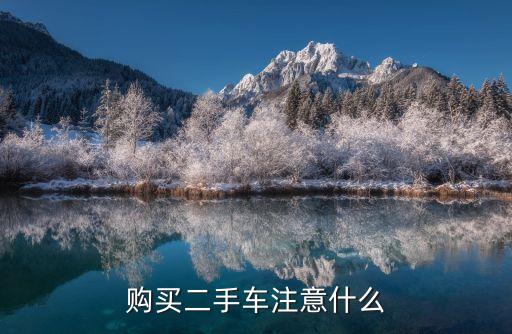 購(gòu)買(mǎi)二手車(chē)注意什么