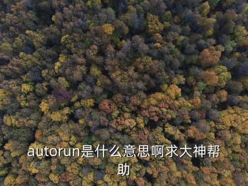 sxs是什么意思,SXS是什么品牌