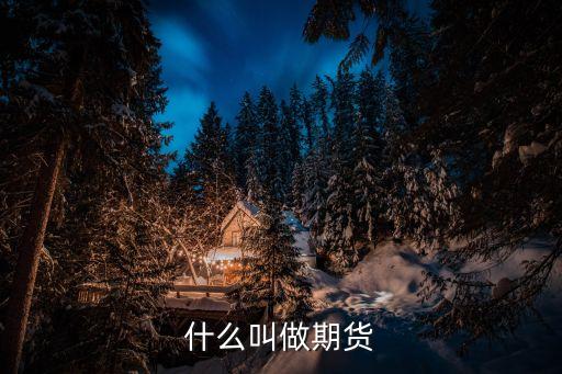 期貨是什么，期貨是什么意思