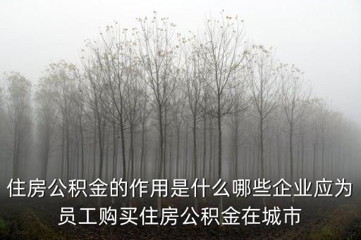 公積金作用，公積金的作用是什么
