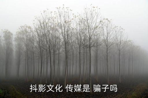傳媒公司是騙子
