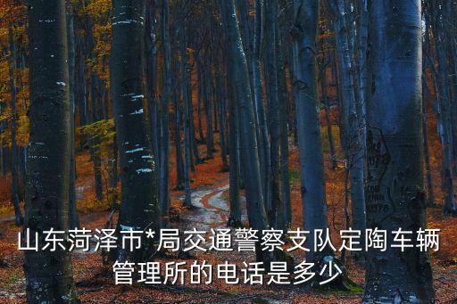 菏澤車管所電話，菏澤市*局車輛管理所的詳細(xì)地址和電話是多少急用啊