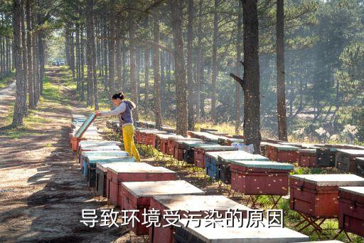 導致環(huán)境受污染的原因