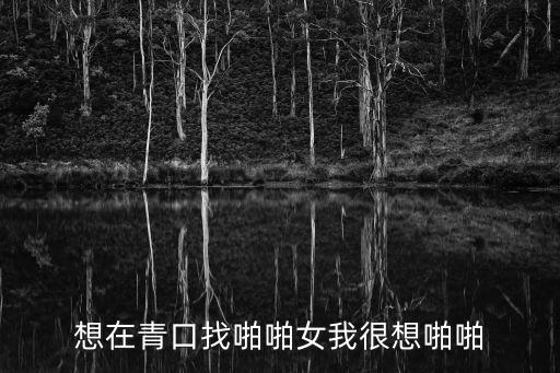 同城啪啪，開同啪啪