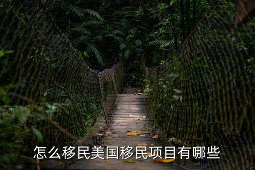 怎么移民美國(guó)移民項(xiàng)目有哪些