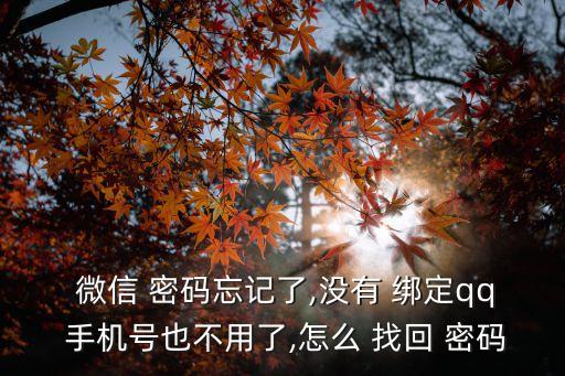 微信沒有綁定手機(jī)號(hào)怎么找回密碼