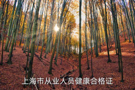 上海市從業(yè)人員健康合格證