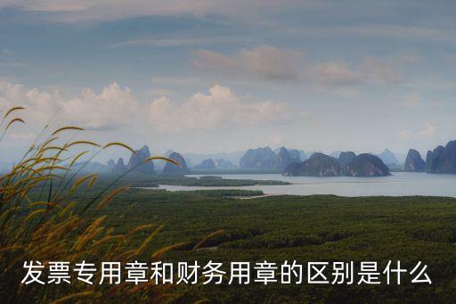 財務(wù)章，什么是財務(wù)專用章