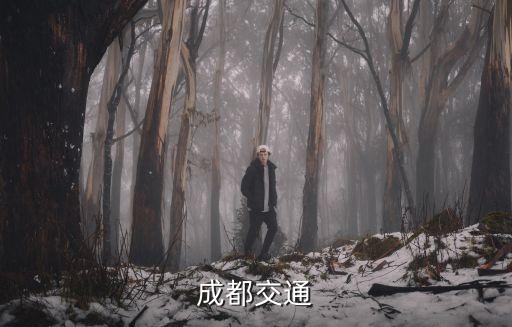 成都交通