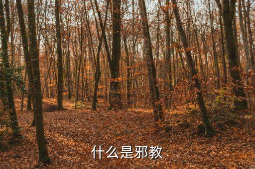 邪教的定義，邪教是什么