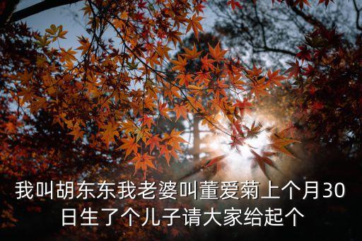 胡東升，親們幫忙想個(gè)我們兩個(gè)名字組合的婚禮主題最好46字含我們兩