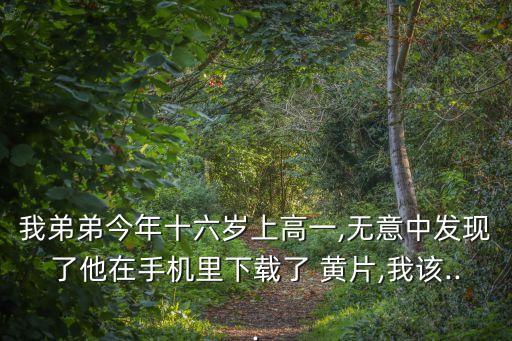 黃片了