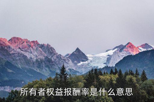 權(quán)益報酬率，所有者權(quán)益報酬率是什么意思