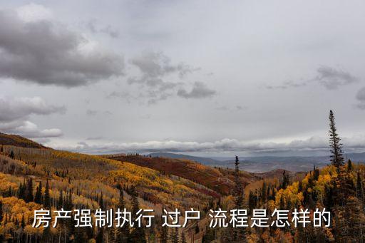 有判決書過戶房子流程,為什么法官都不建議執(zhí)行房產(chǎn)