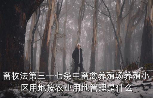 畜牧法，畜牧法第三十七條中畜禽養(yǎng)殖場養(yǎng)殖小區(qū)用地按農(nóng)業(yè)用地管理是什么