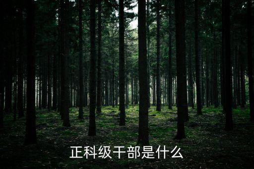 國家公職人員級(jí)別,公務(wù)員所有崗位一覽表崗位