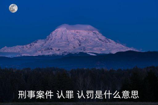 認罪認罰法律條款