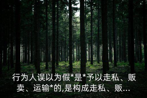 行為人