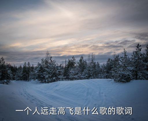 高菲