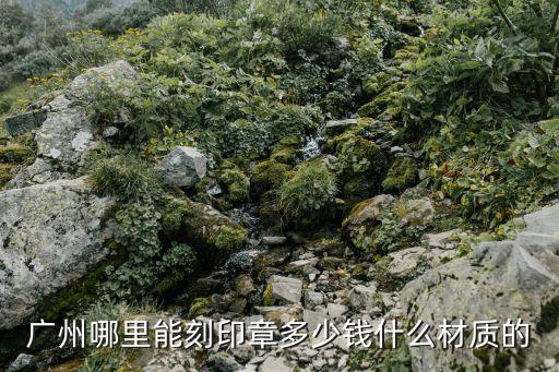 廣州哪里能刻印章多少錢什么材質(zhì)的