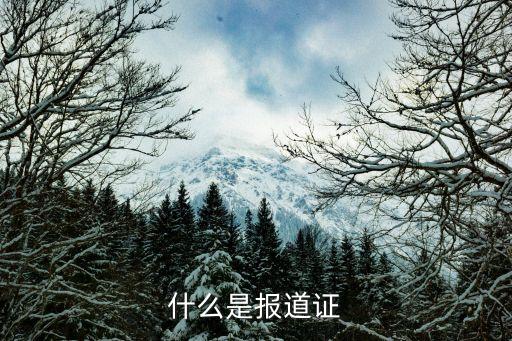 報道證，什么是報道證