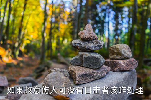 沒有目擊者，如果故意傷人可沒有目擊者該咋處理