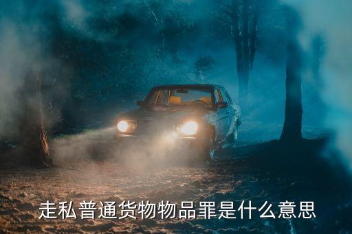 走私什么意思,偷渡是什么意思