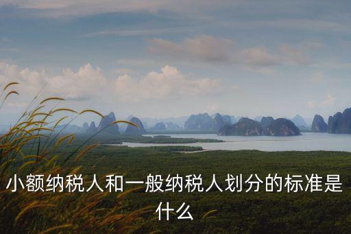 小額納稅人，小額納稅人和一般納稅人劃分的標(biāo)準(zhǔn)是什么