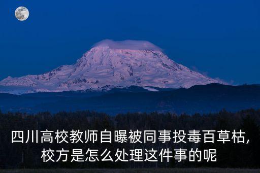 老師被