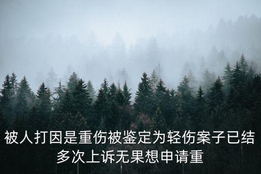 被人打因是重傷被鑒定為輕傷案子已結(jié)多次上訴無果想申請(qǐng)重
