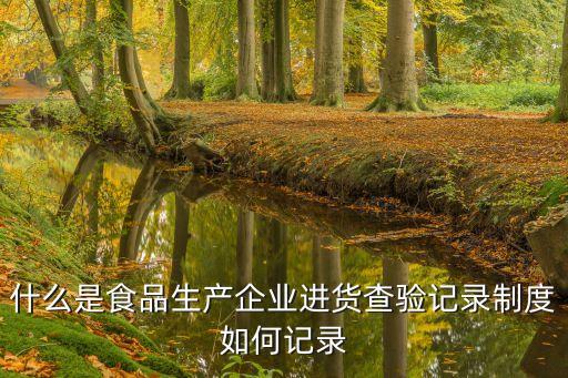 什么是食品生產(chǎn)企業(yè)進(jìn)貨查驗(yàn)記錄制度如何記錄