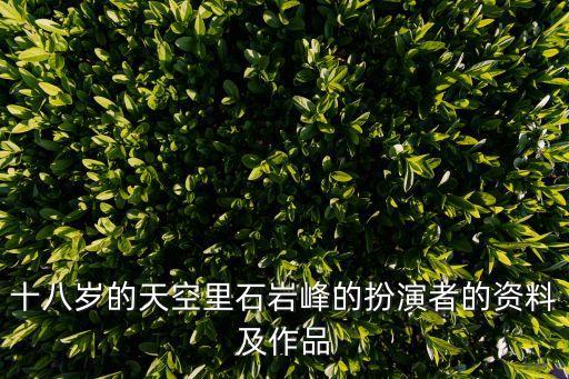 十八歲的天空里石巖峰的扮演者的資料及作品