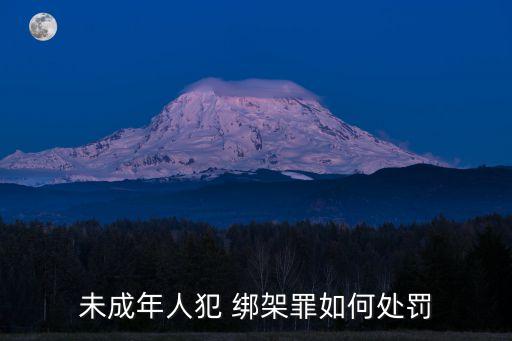 綁架罪量刑標(biāo)準(zhǔn),日本綁架罪量刑標(biāo)準(zhǔn)