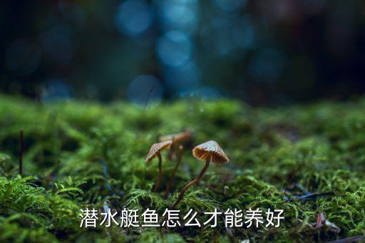潛水艇魚怎么才能養(yǎng)好